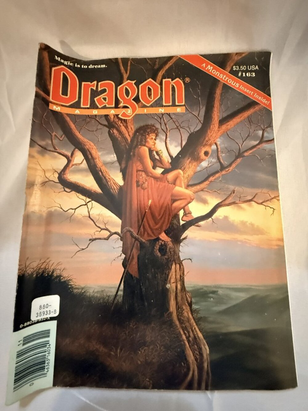 1990 TSR Dragon Magazine #163 -Vintage